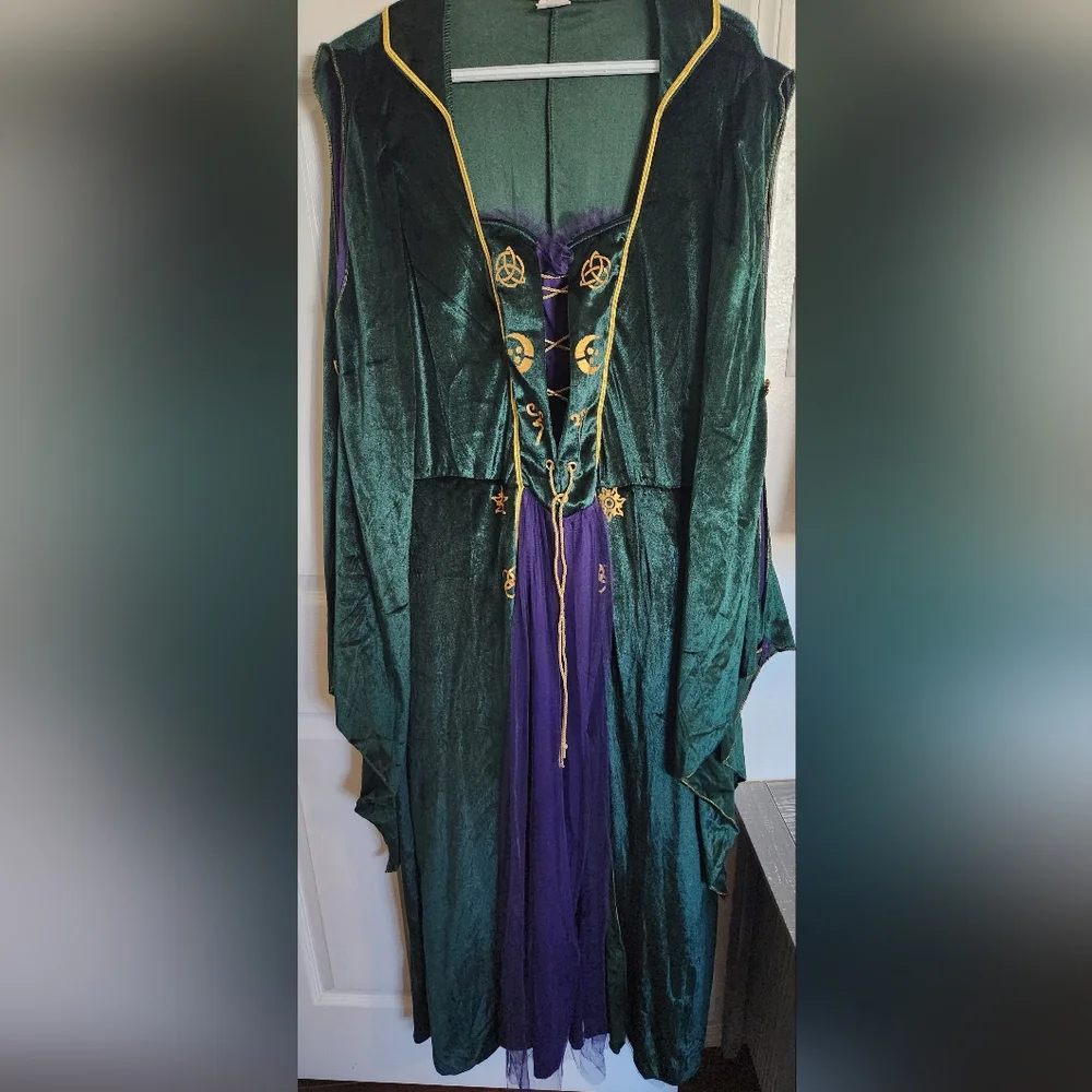 Disney Hocus Pocus Costume  2X Winnie Sanderson - Picture 5 of 12